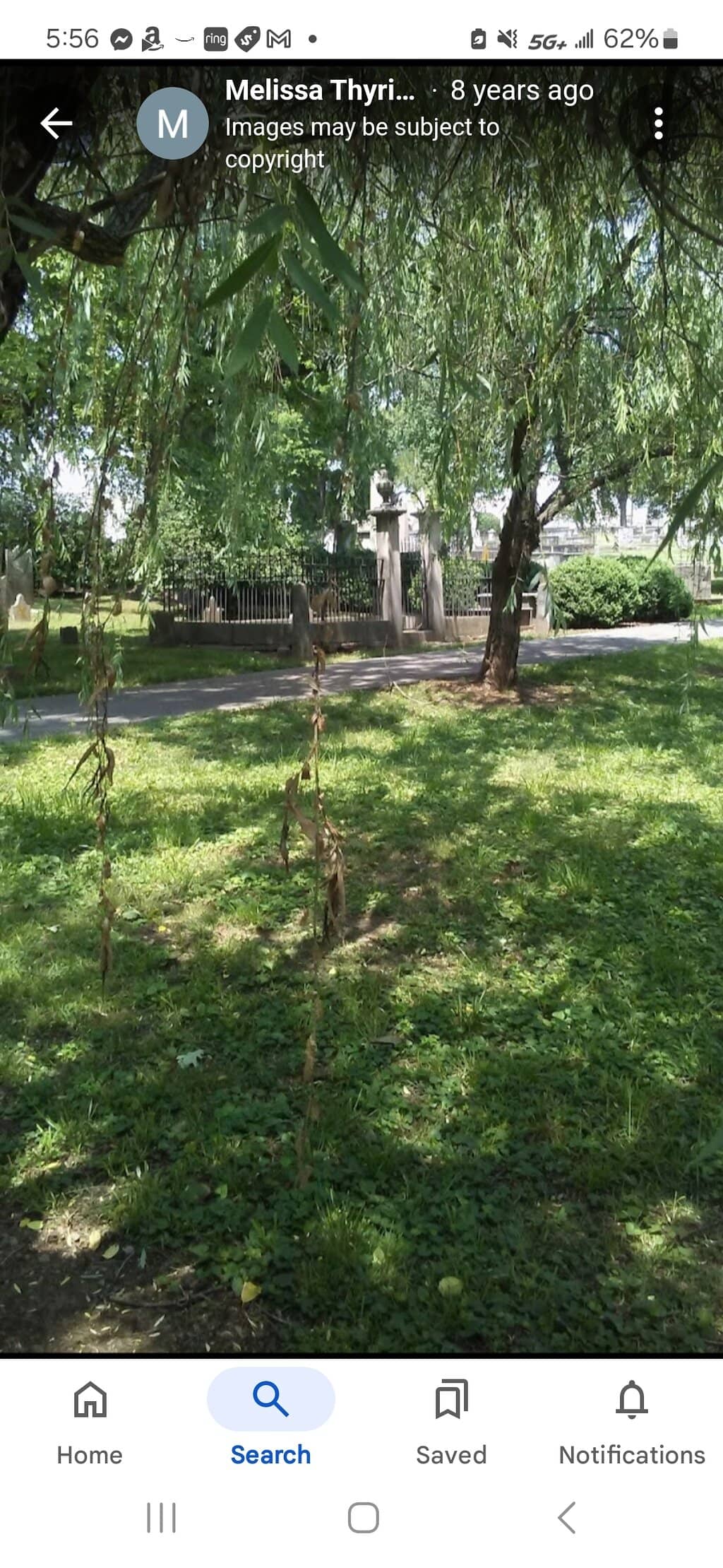 Vertical photo
