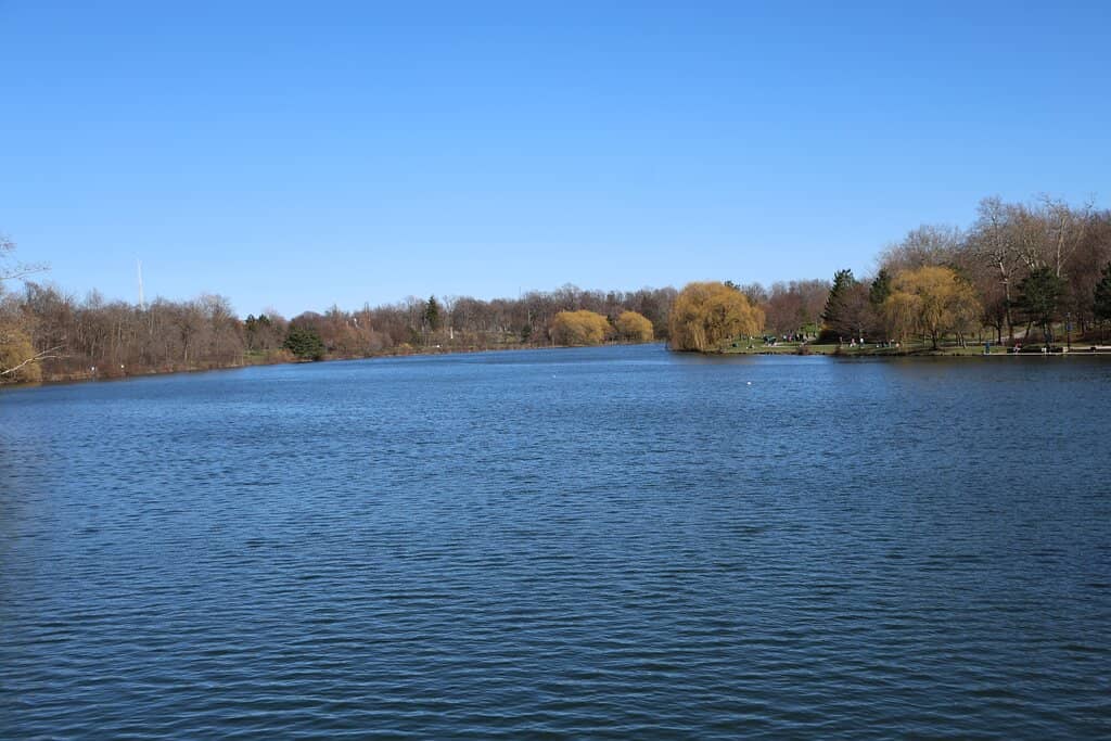 Shakespeare in Delaware Park