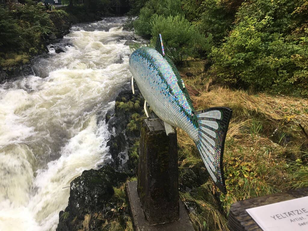 Historic Creek Street