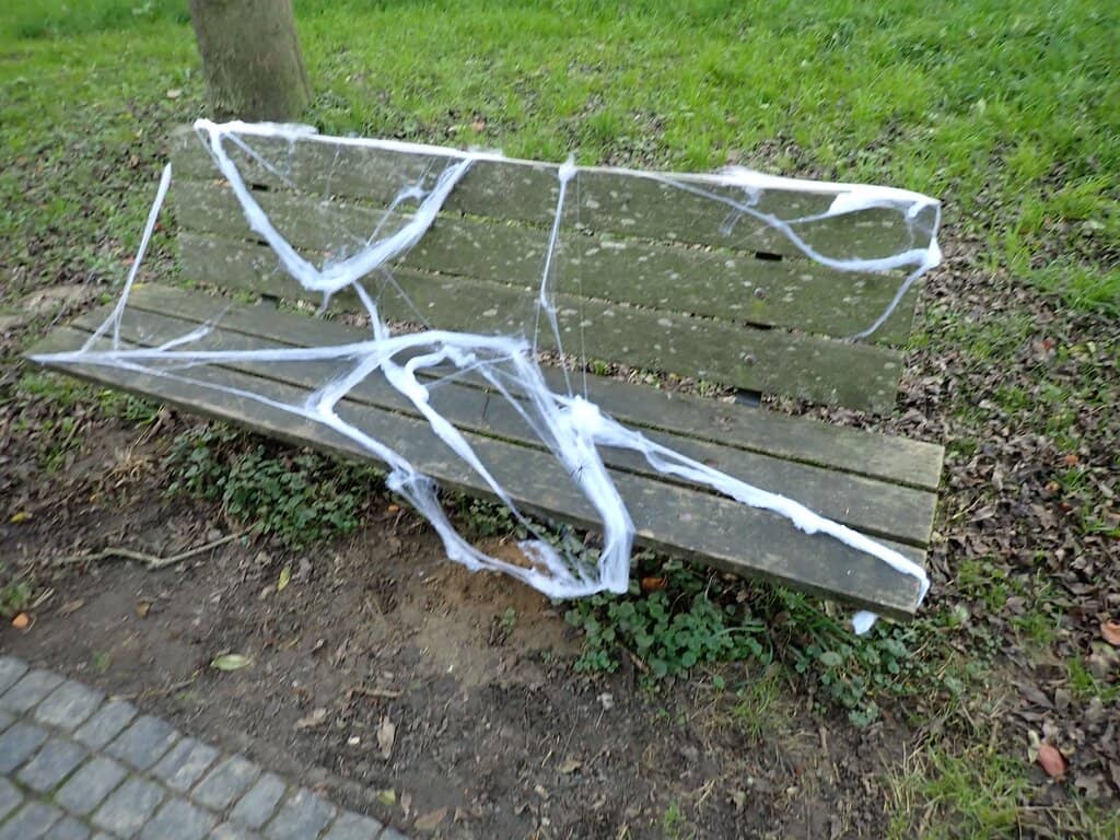 Historic Abbey Grounds