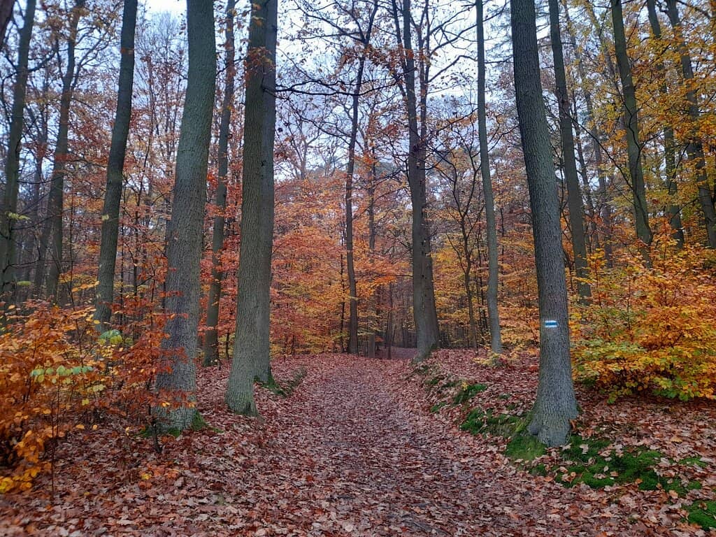 Highlights