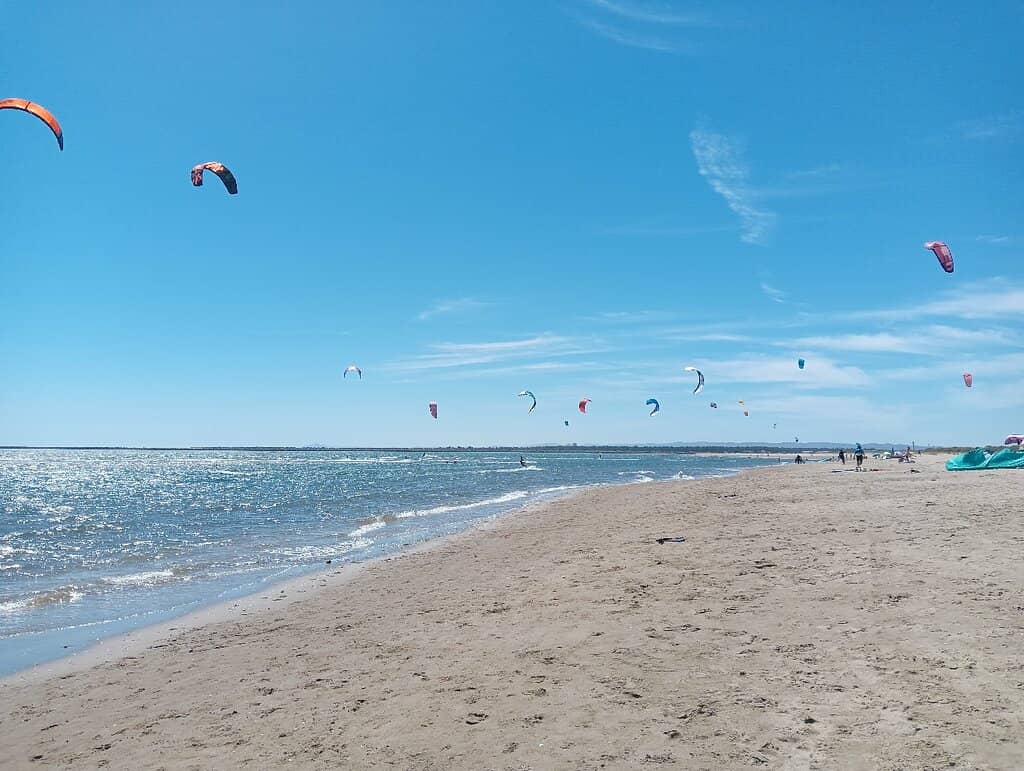 Clam Collecting at Low Tide