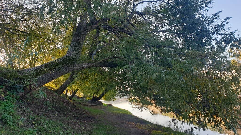 Science Park (Under Construction)