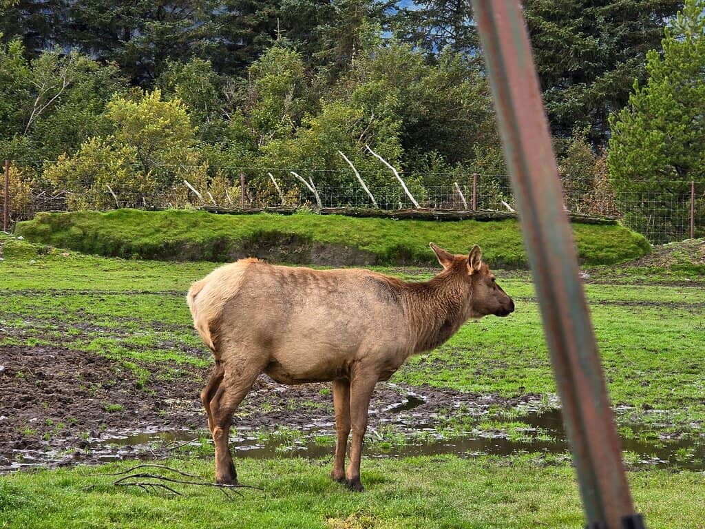 Highlights