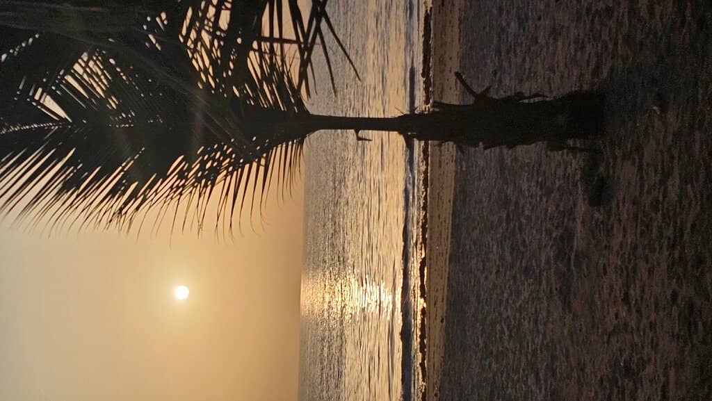 Coastal Views