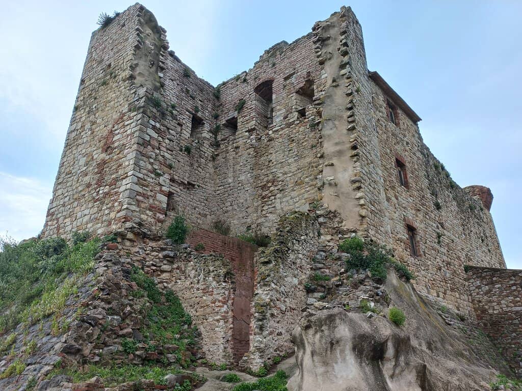 Vertical photo