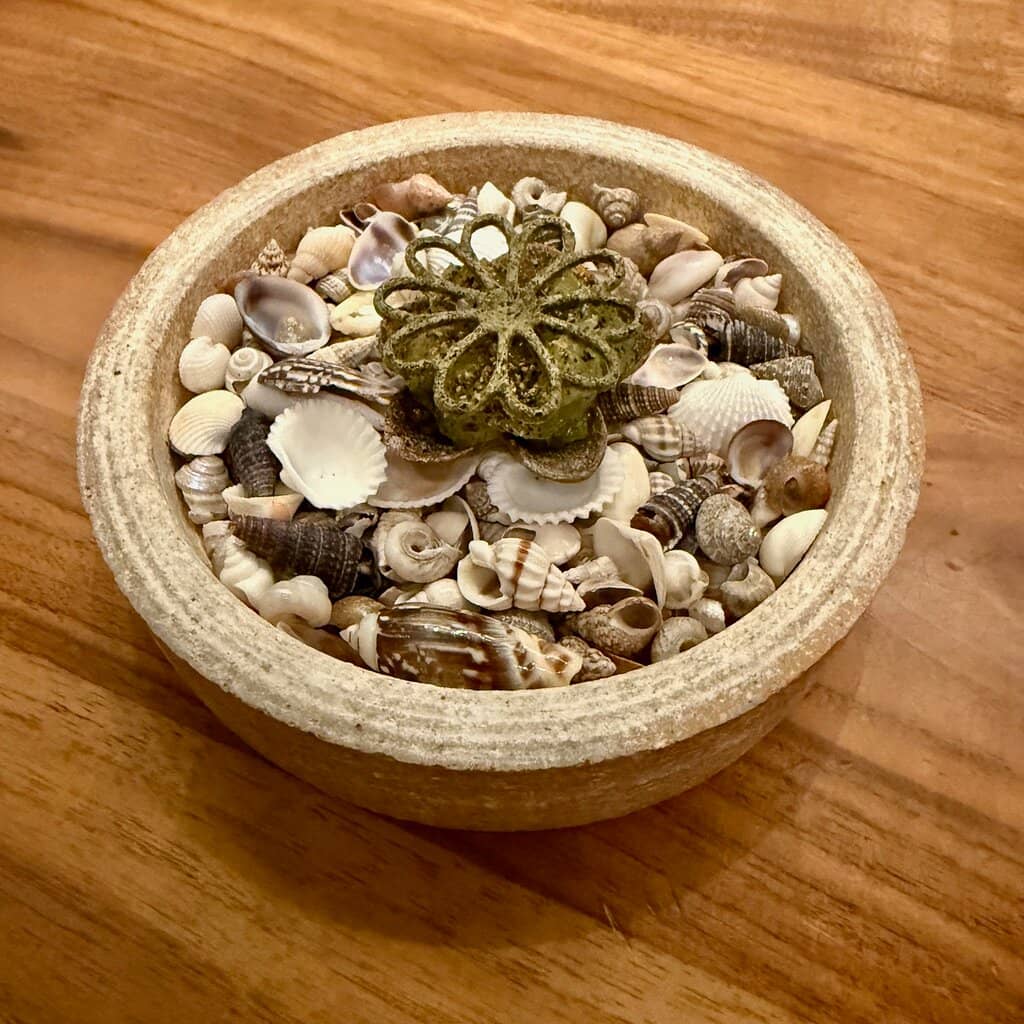 Exceptional Cocktails