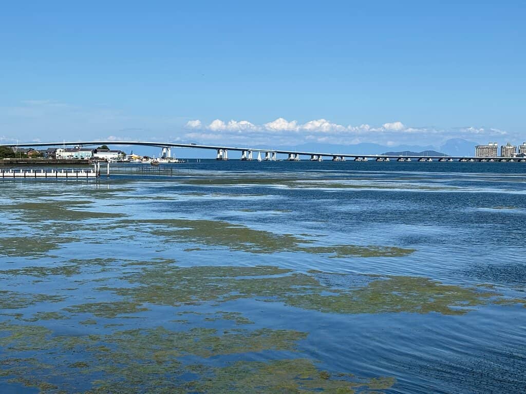 Lake Biwa Views