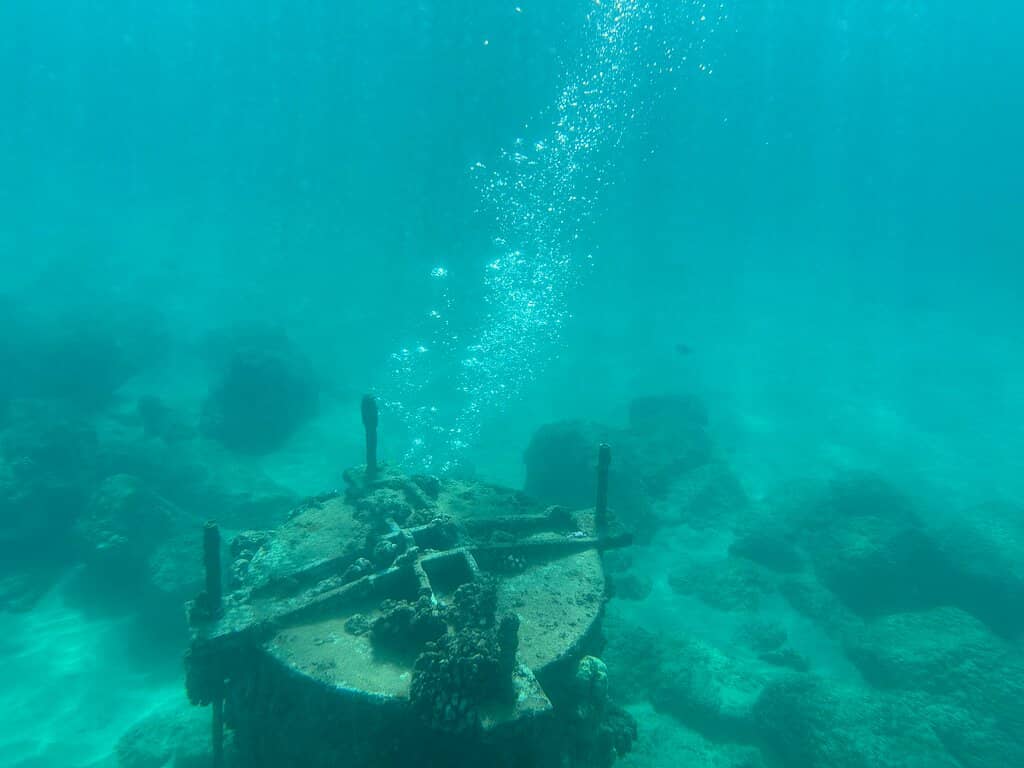 Snorkeling Adventures