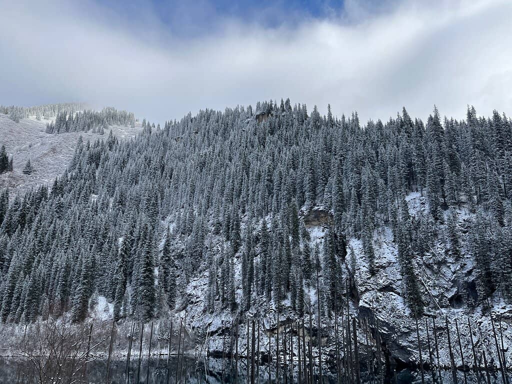 Vertical photo