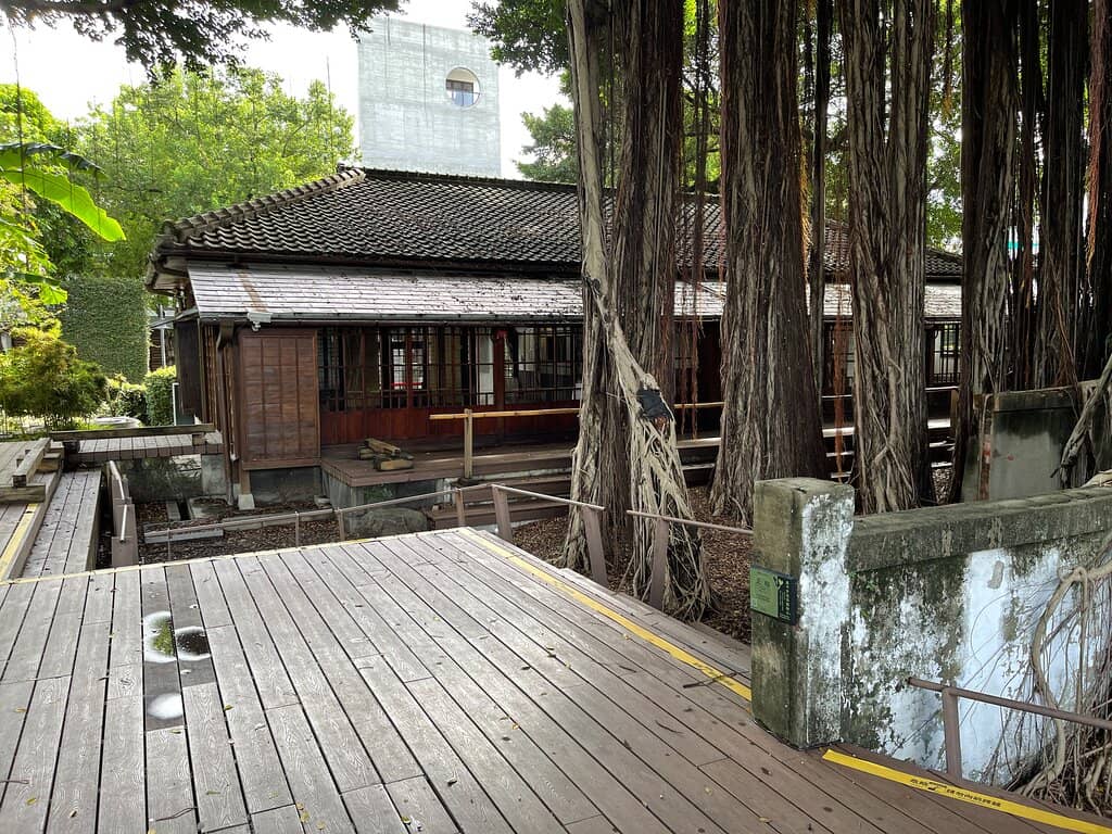 The Century-Old Banyan Tree