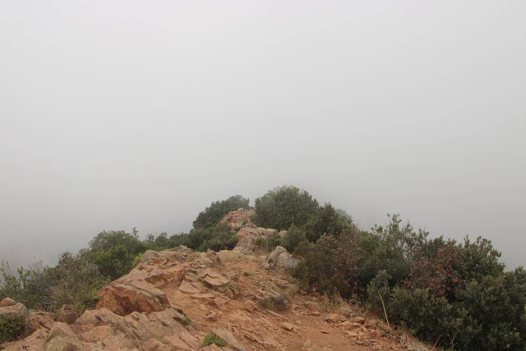 Scenic Hiking Trails