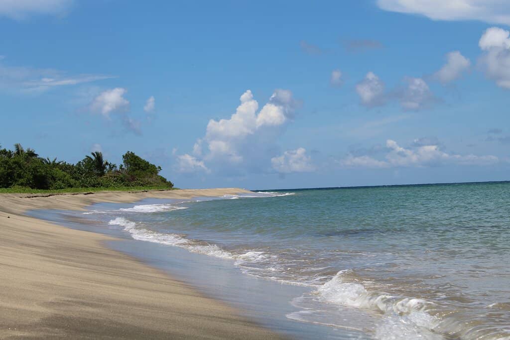 Tranquil Beach Experience