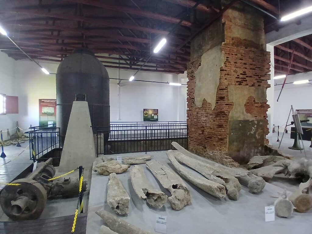 Historical Whaling Artifacts