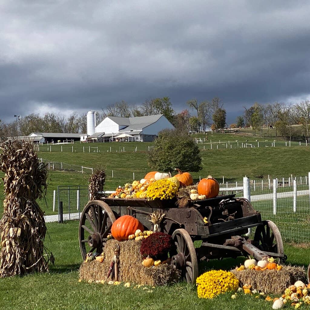 Amish Culture Immersion