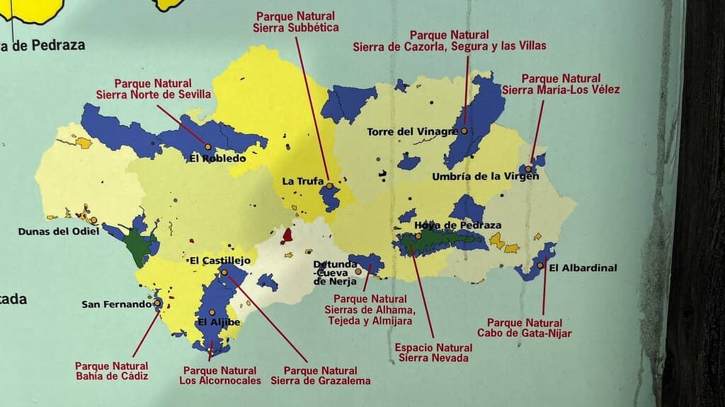Autumn Fungi Varieties