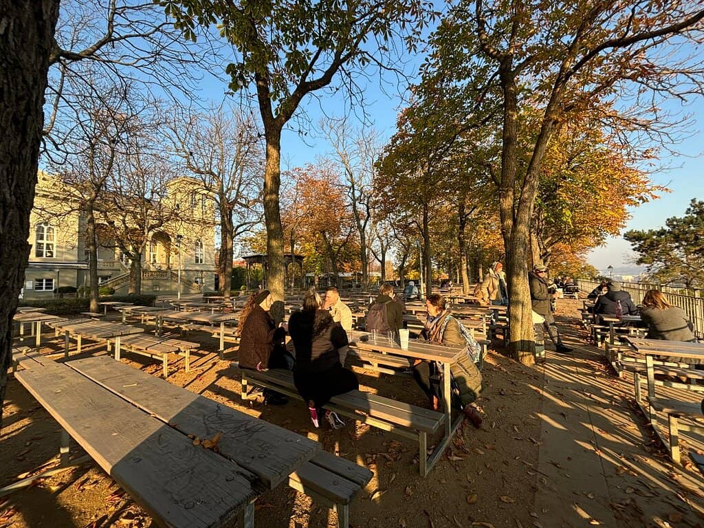 Picnic-Friendly Atmosphere