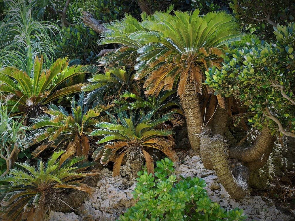 Shallow, Calm Waters