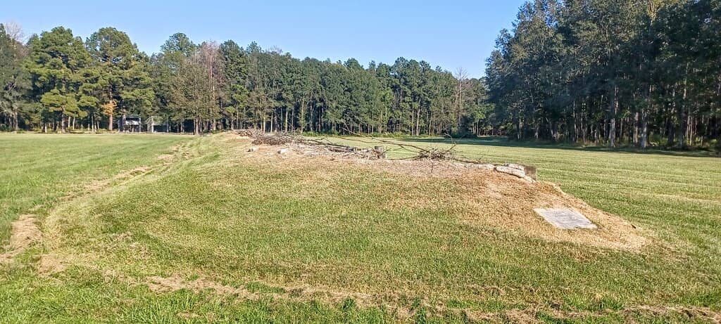 Cannon Demonstrations