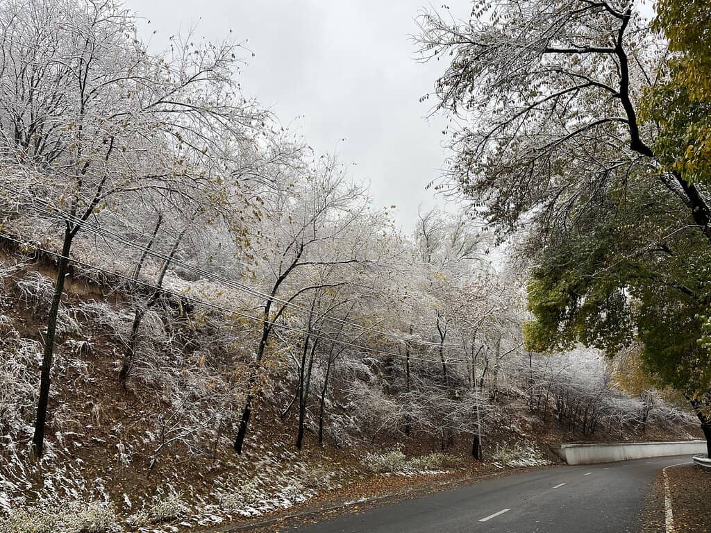 Scenic Cable Car Ride