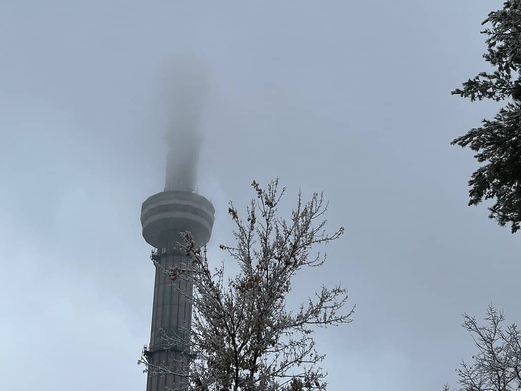 Panoramic City Vistas