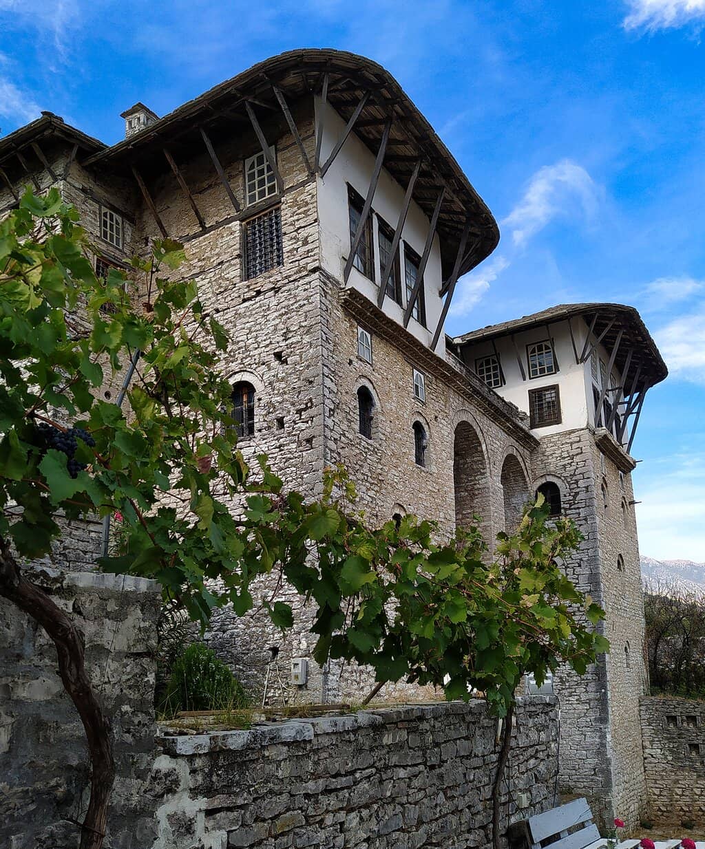 Vertical photo