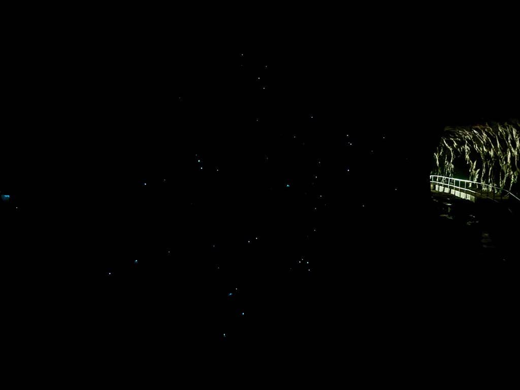 Wollemi National Park Exploration