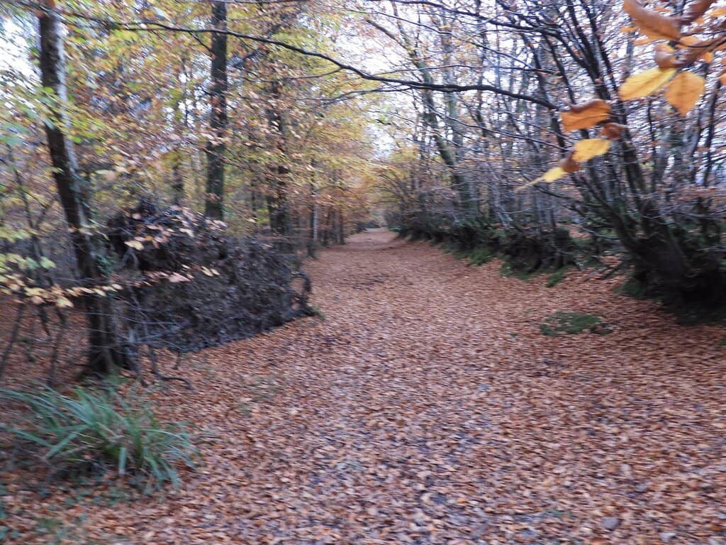 Connecting to Town & Beach