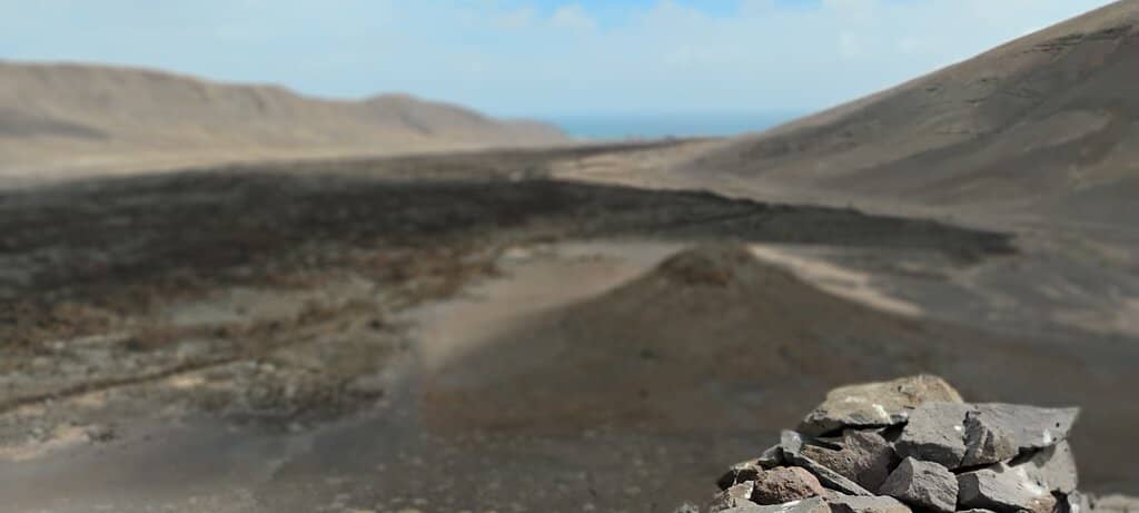 Panoramic Viewpoint