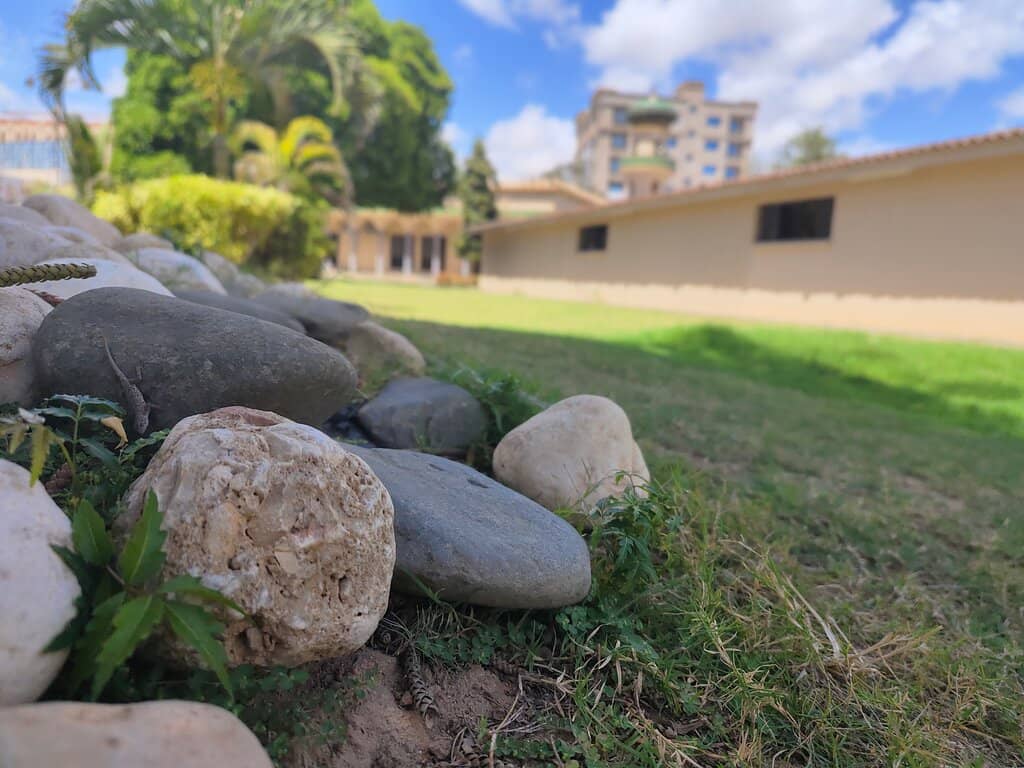 Adjacent Mosque and Greenery