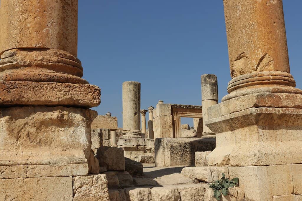 Butcher's Marks & Animal Carvings