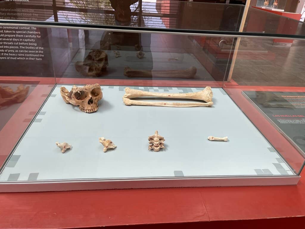 Interpretive Displays