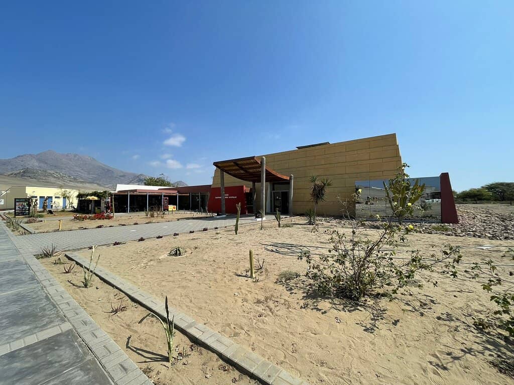 Archaeological Artifacts