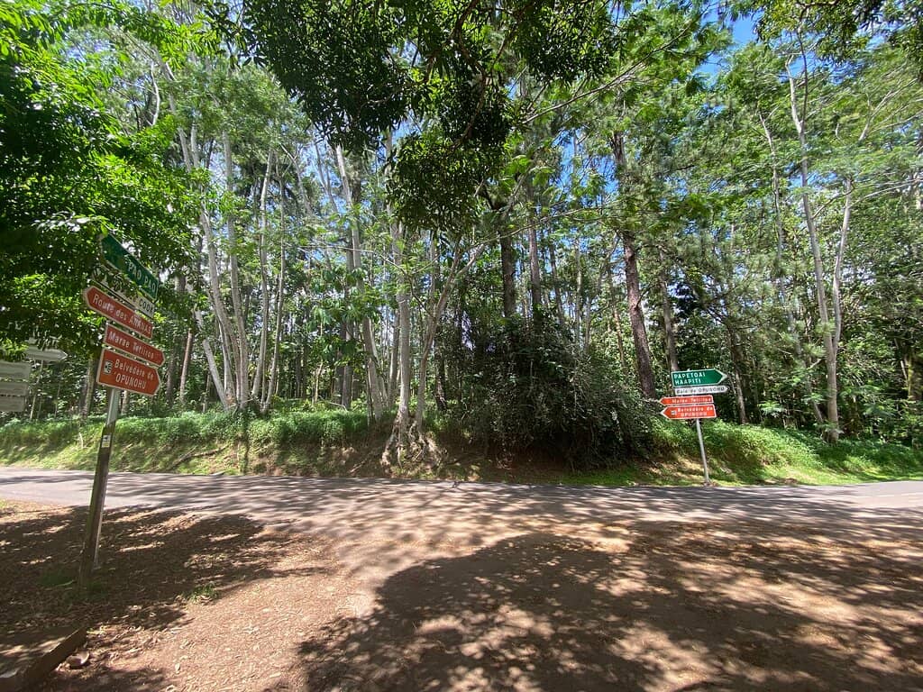 Vertical photo