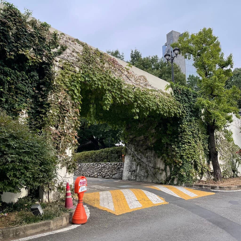 Movement Road & Jin Alley