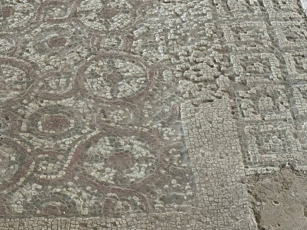 Swan Mosaic