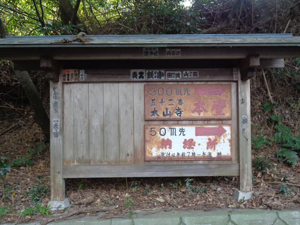 Forest Setting