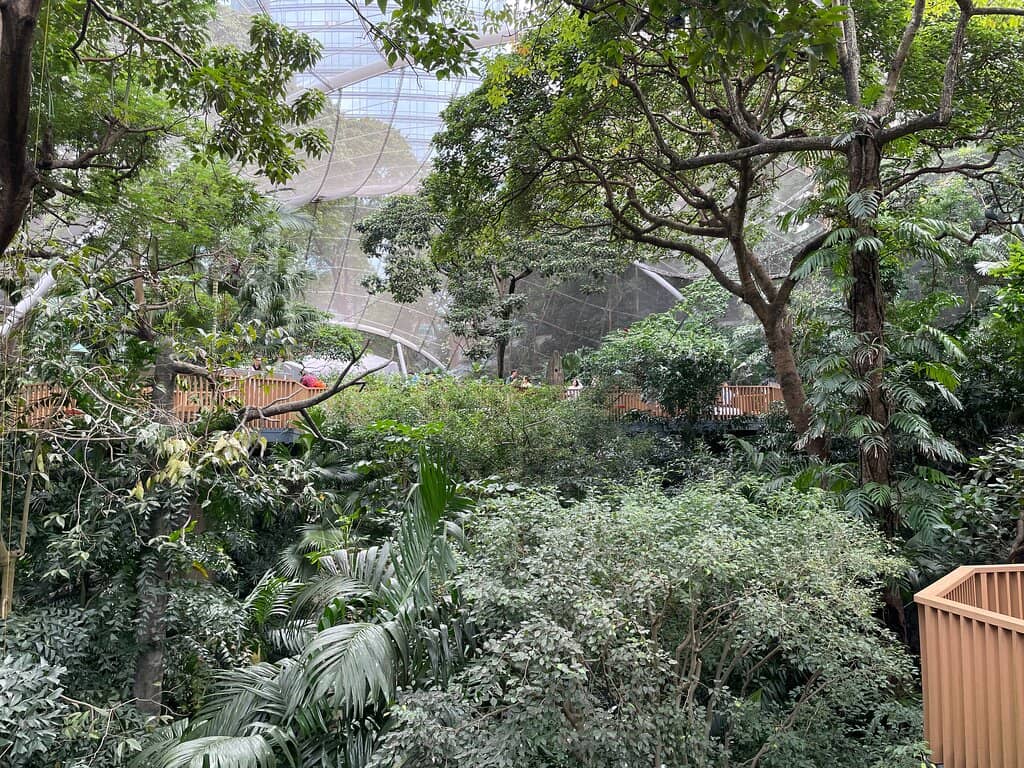 Diverse Bird Species