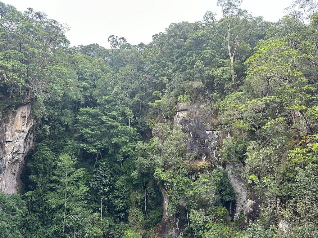 Vertical photo