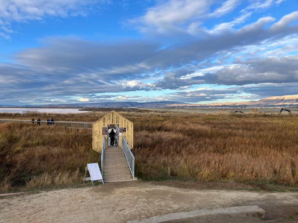 Abundant Wildlife Viewing