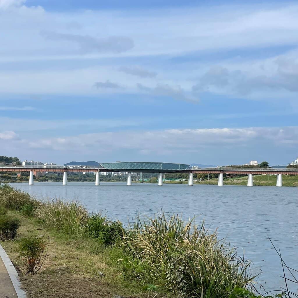 The Skywalk Experience