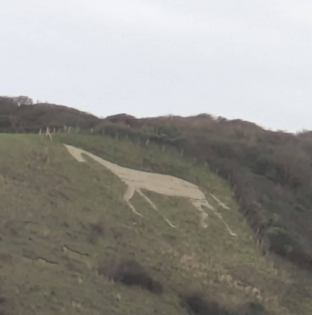 Cuckmere Valley Views