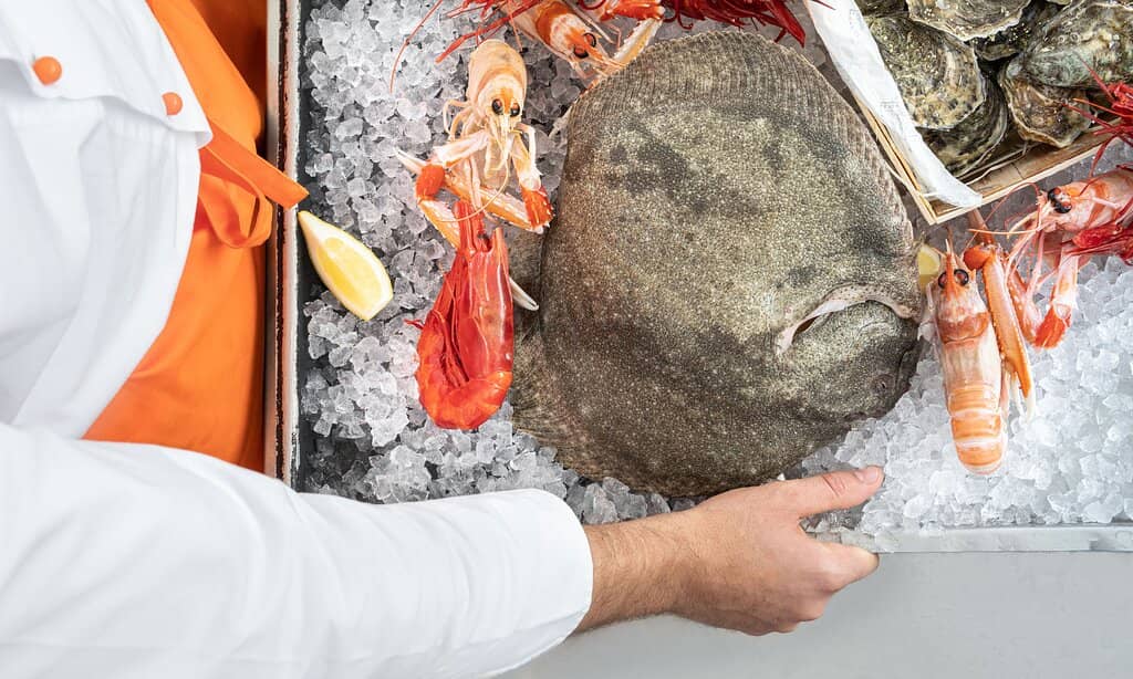 Fresh Seafood Extravaganza