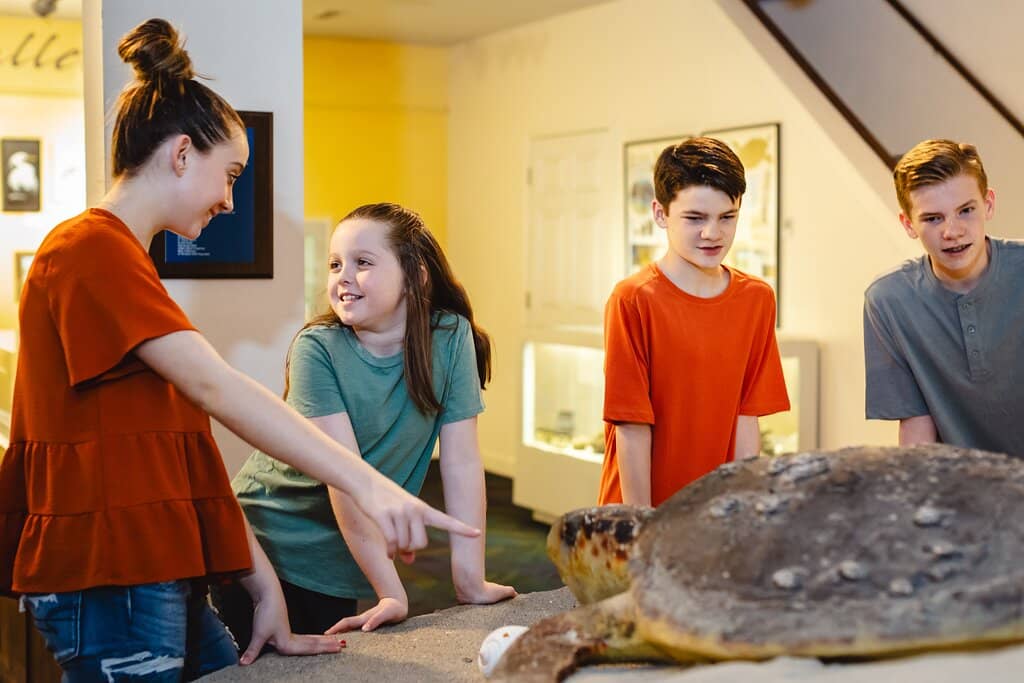 Under the Sea Experience