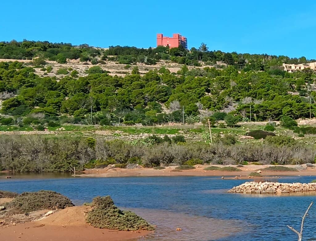 Tranquil Nature Walks