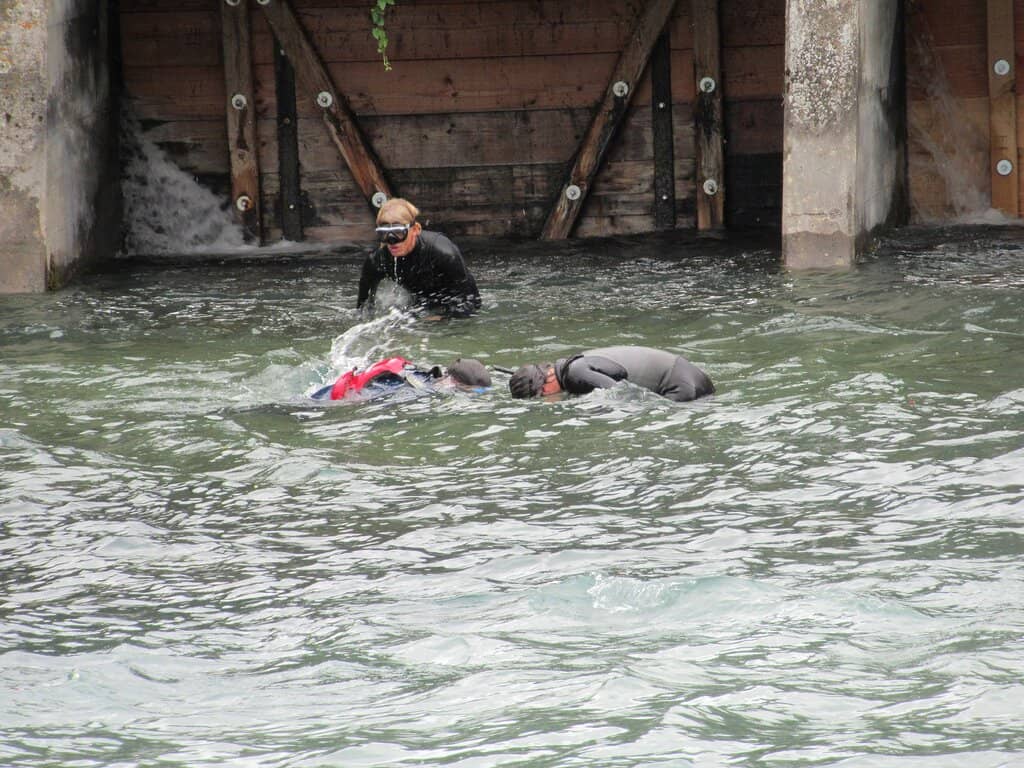 The Historic Wooden Bridge
