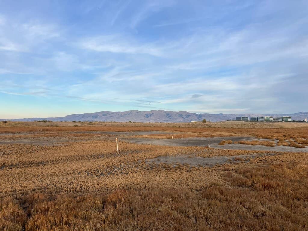 San Francisco Bay Trail Access