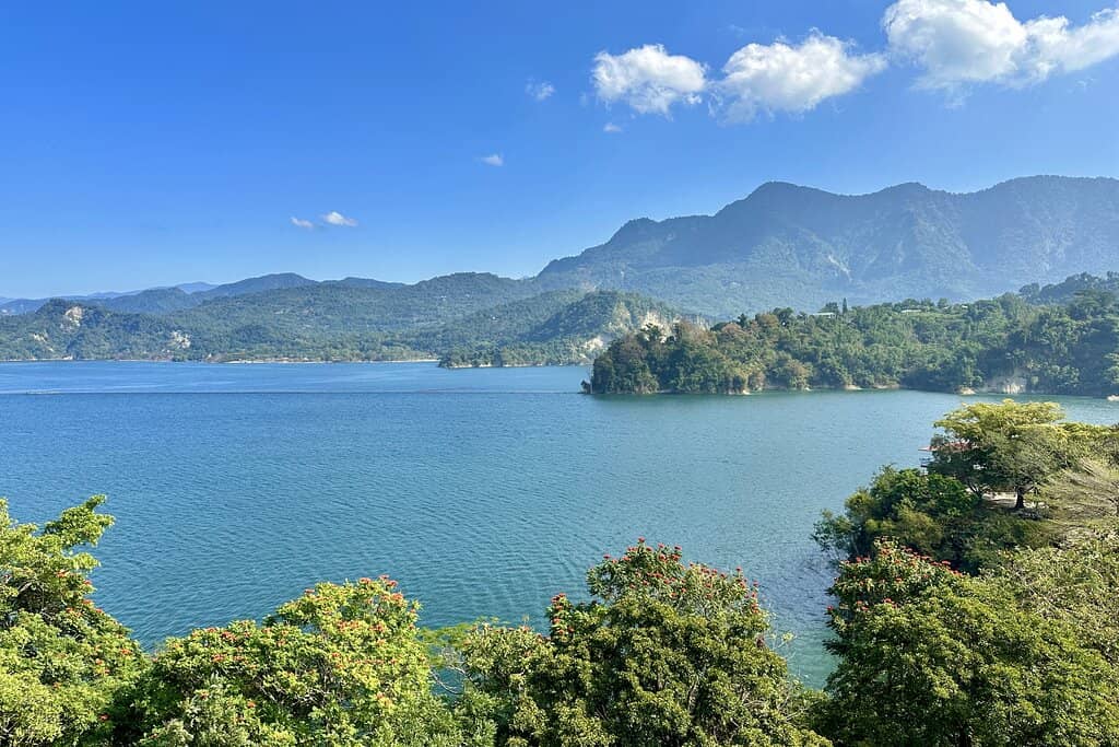 Scenic Lookouts & Viewing Tower