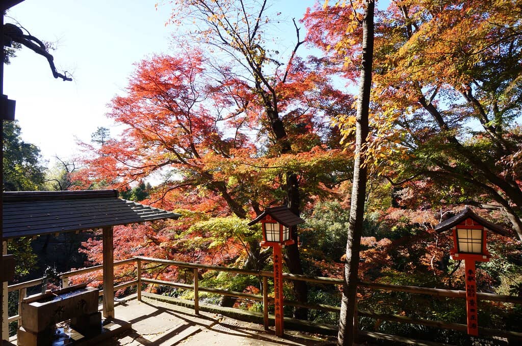 Todoroki Valley Ravine