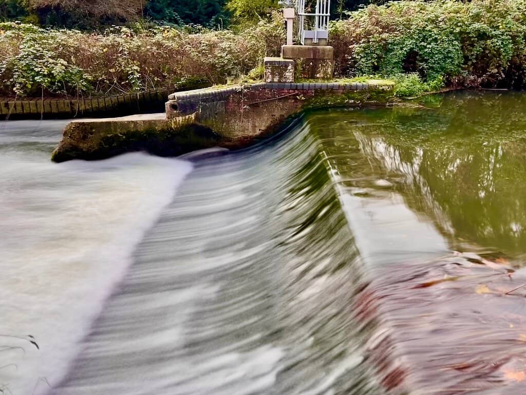 Vertical photo